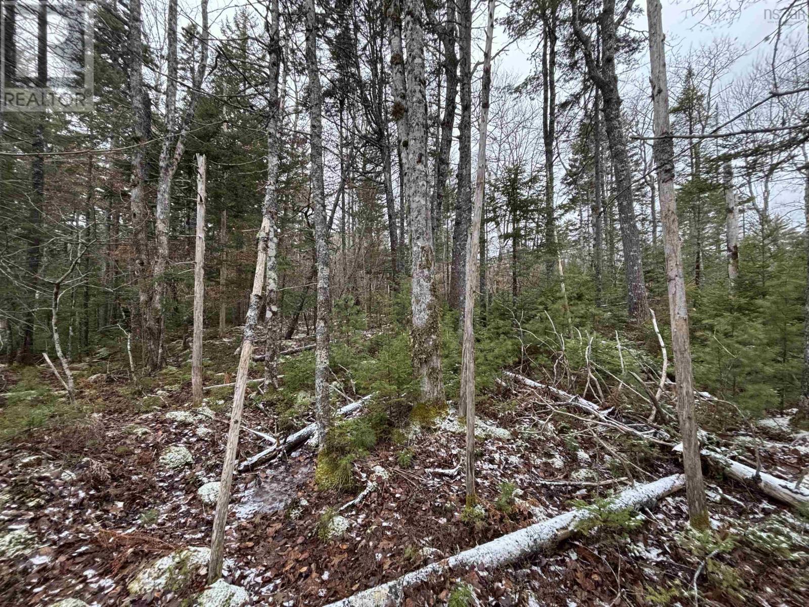 Lot 7-23 Highway 325, West Clifford, Nova Scotia  B4V 8H3 - Photo 7 - 202604753