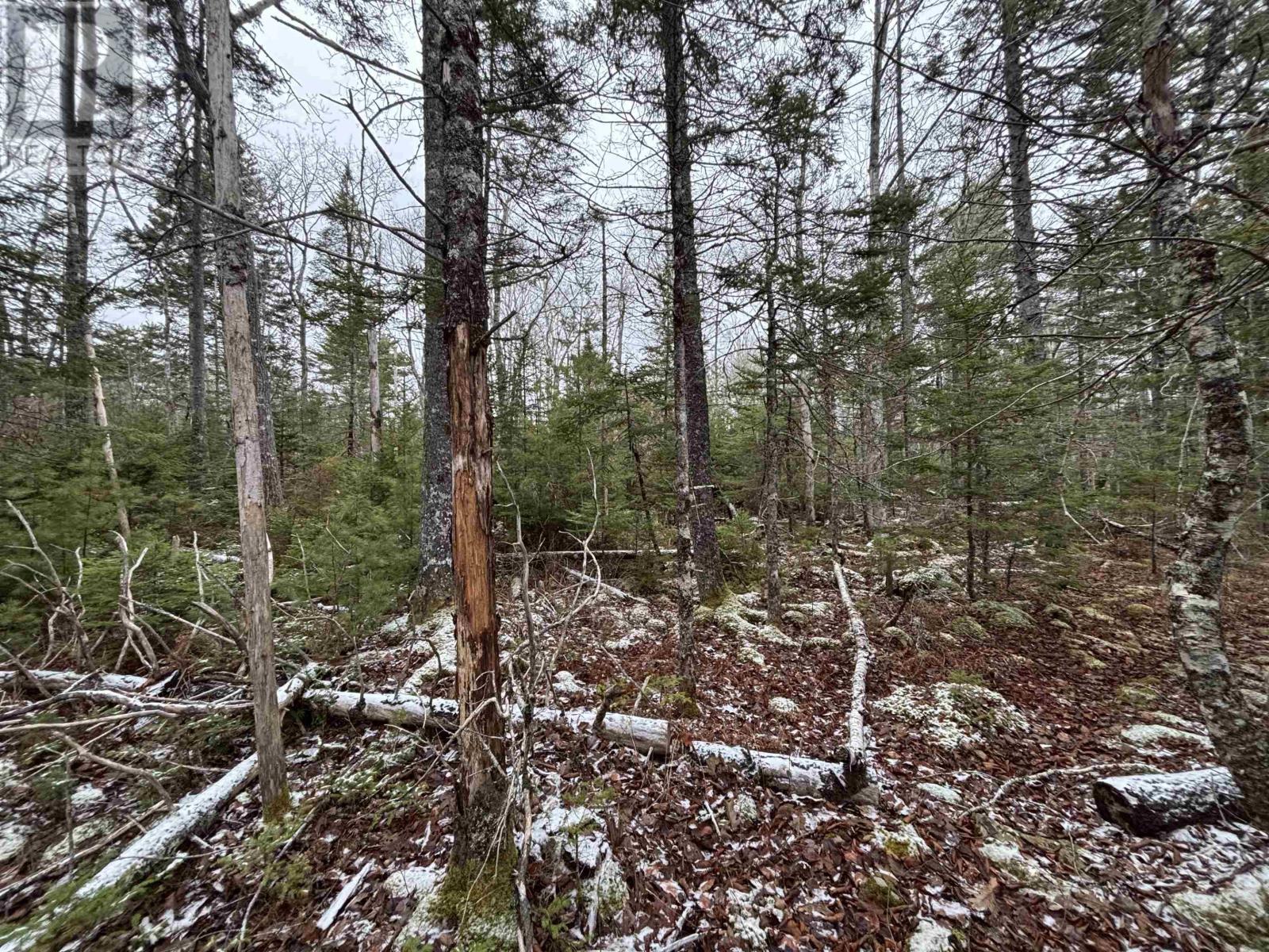 Lot 7-23 Highway 325, West Clifford, Nova Scotia  B4V 8H3 - Photo 9 - 202604753