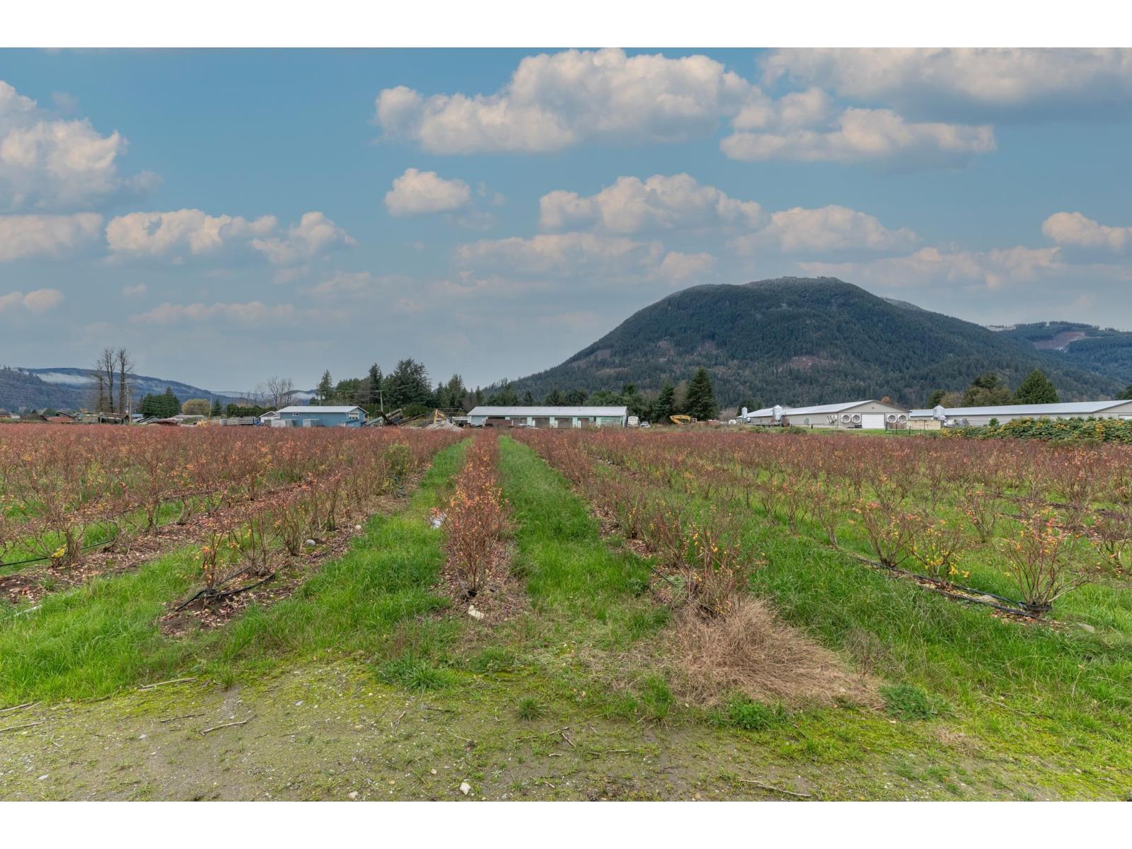 8528 Sylvester Road, Mission, British Columbia  V2V 7K6 - Photo 34 - R3123296