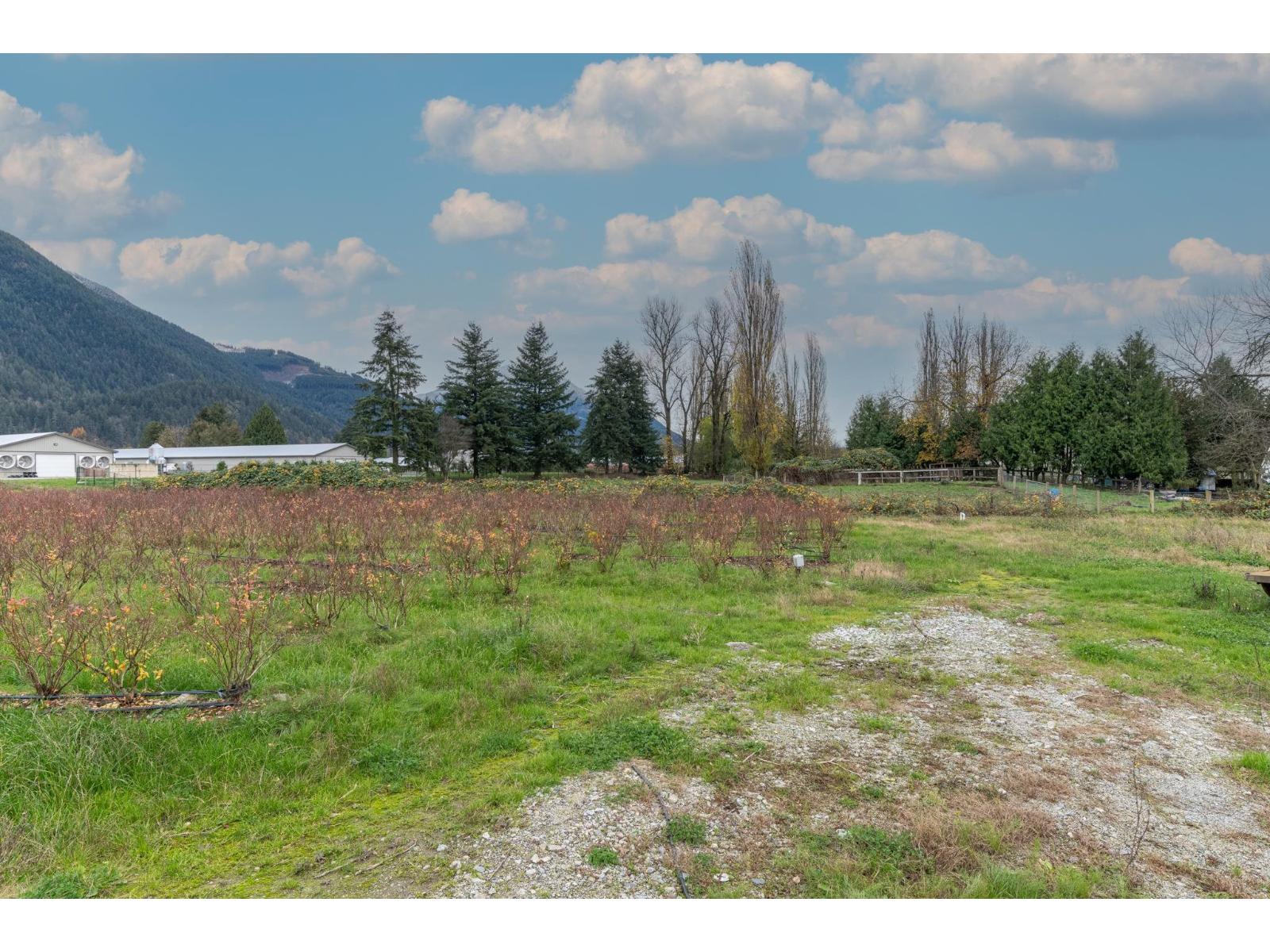 8528 Sylvester Road, Mission, British Columbia  V2V 7K6 - Photo 35 - R3123296