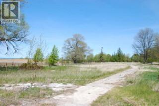 149 Timmons Street, Blue Mountains, Ontario  L9Y 0L8 - Photo 33 - X13126492