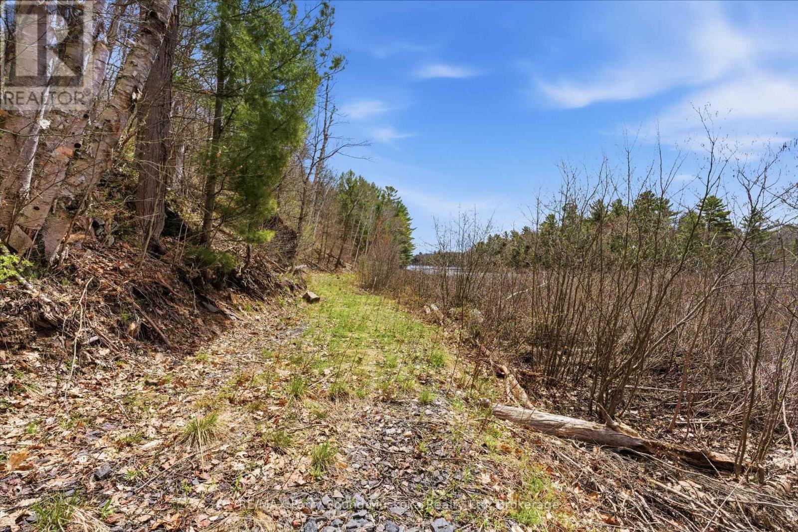25 Lake Ridge Road, Mcdougall, Ontario  P2A 2W9 - Photo 11 - X13128924