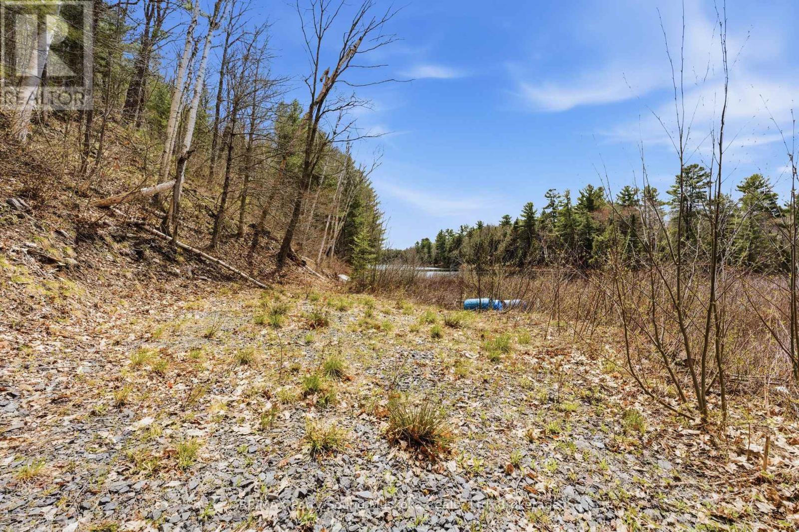 25 Lake Ridge Road, Mcdougall, Ontario  P2A 2W9 - Photo 12 - X13128924