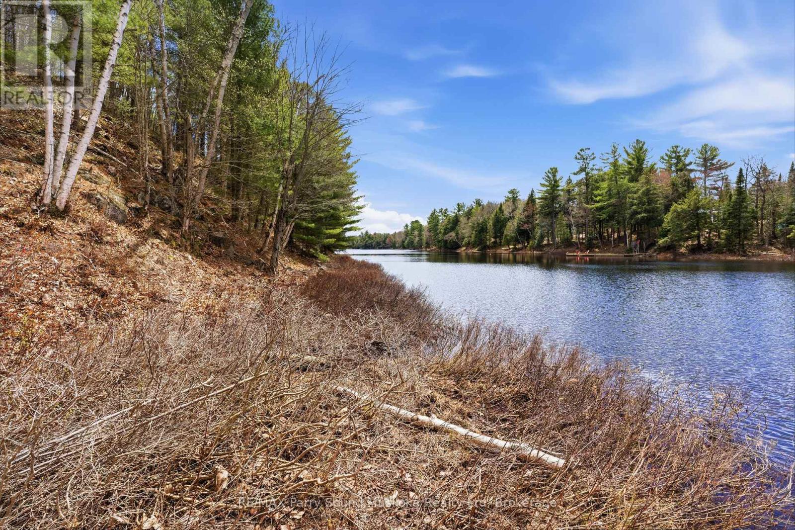 25 Lake Ridge Road, Mcdougall, Ontario  P2A 2W9 - Photo 13 - X13128924