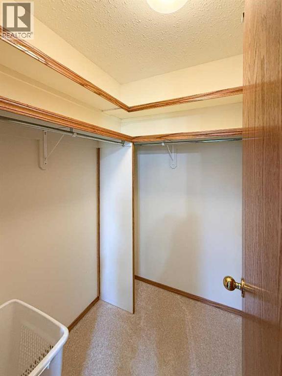4117 Silverpark Estates Close, Olds, Alberta  T4H 1B4 - Photo 18 - A2309442