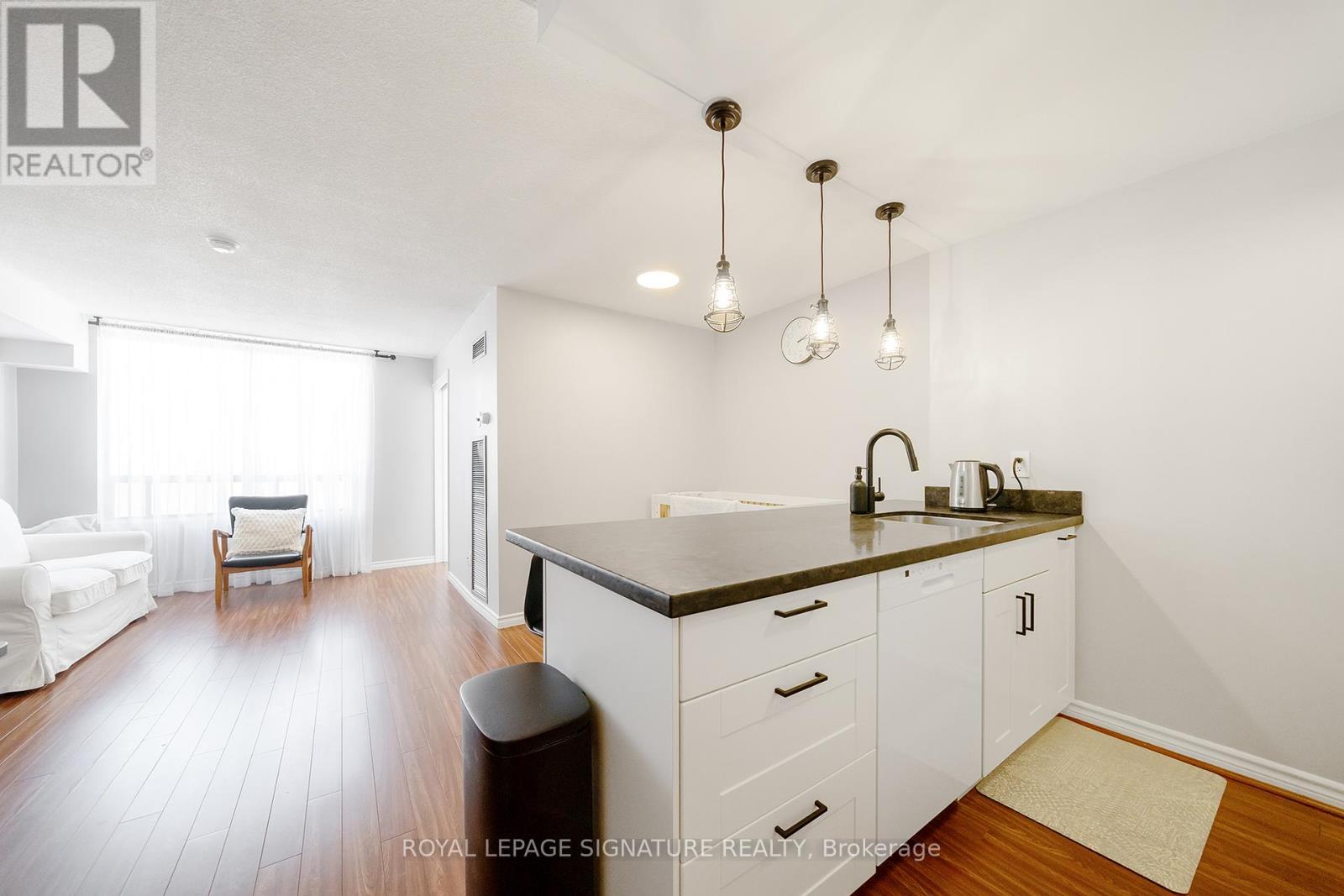 704 - 117 Gerrard Street E, Toronto, Ontario  M5B 2L4 - Photo 13 - C13128932