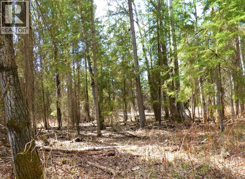 13519 Twp 662, Lac La Biche, Alberta  T0A 2C0 - Photo 4 - A2308215