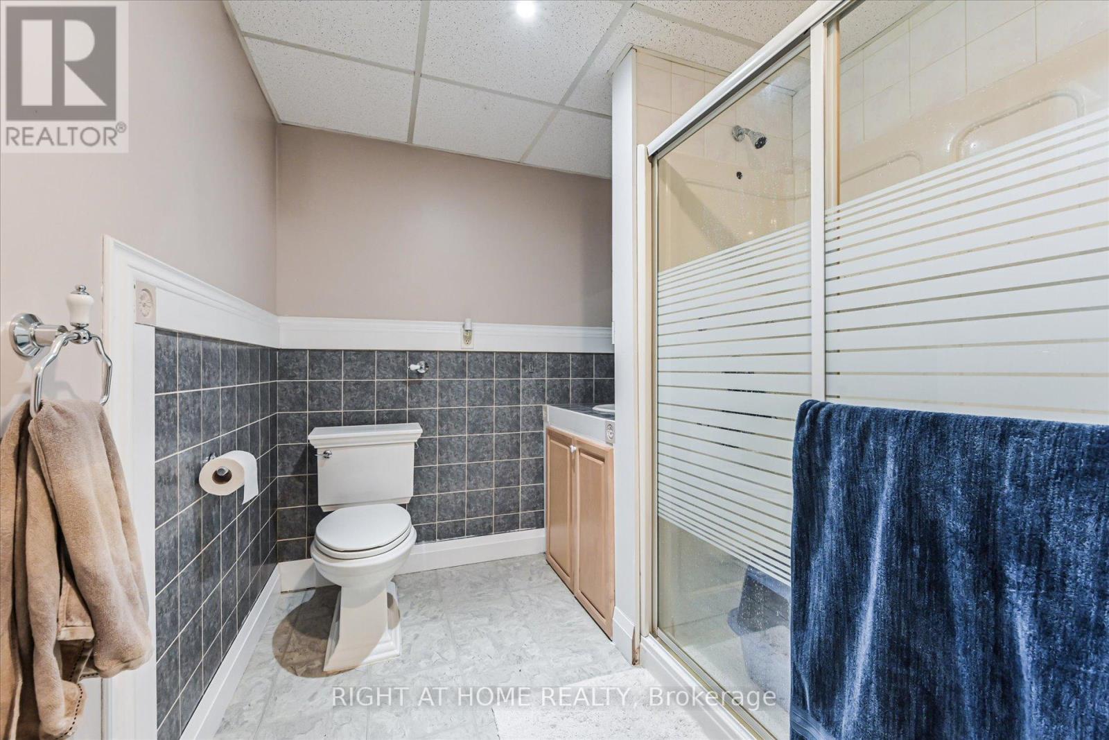 Lower - 30 French Crescent, East Gwillimbury, Ontario  L9N 1J8 - Photo 6 - N13129324