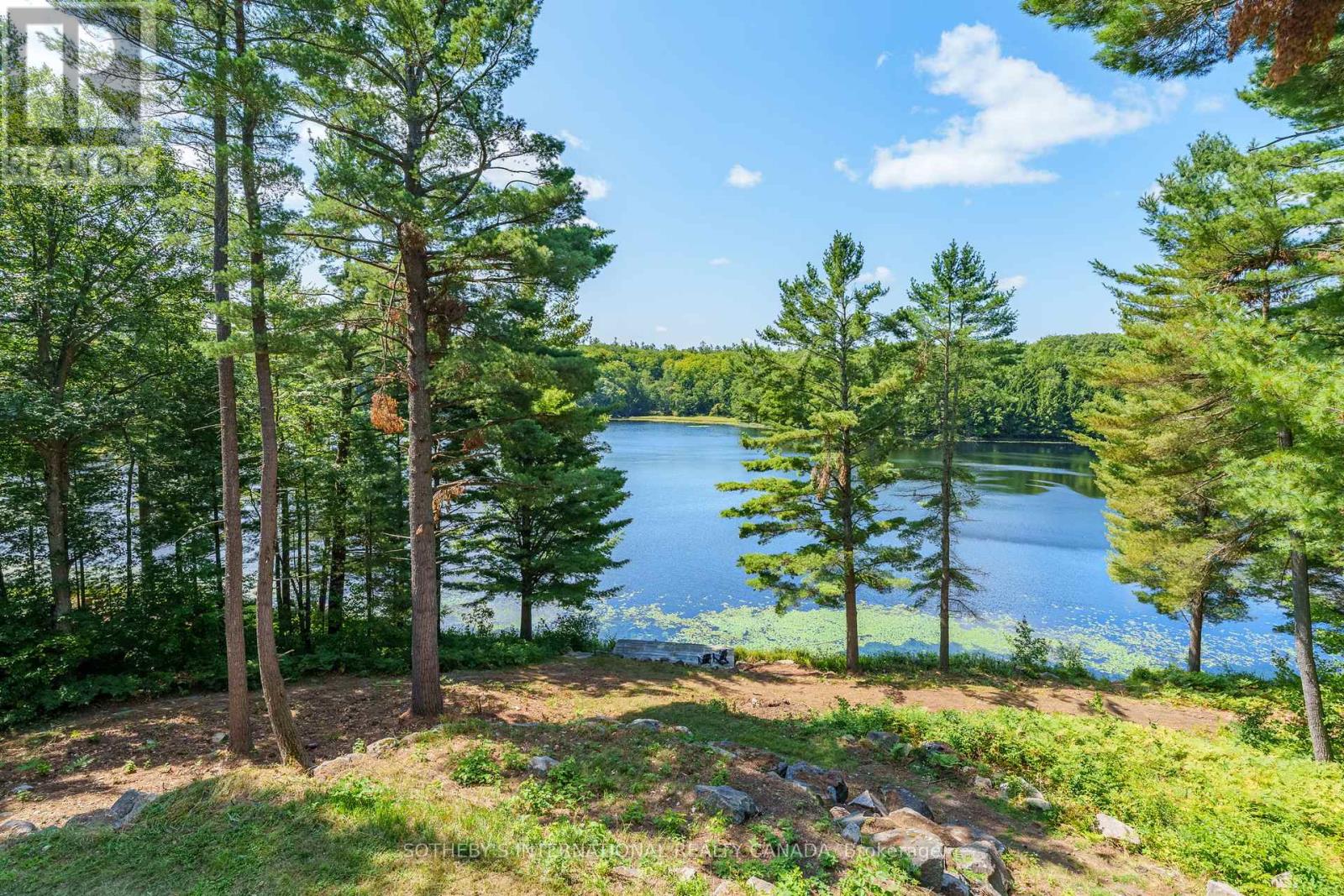 49 Estates Drive, Muskoka Lakes, Ontario  P0B 1J0 - Photo 17 - X13129308