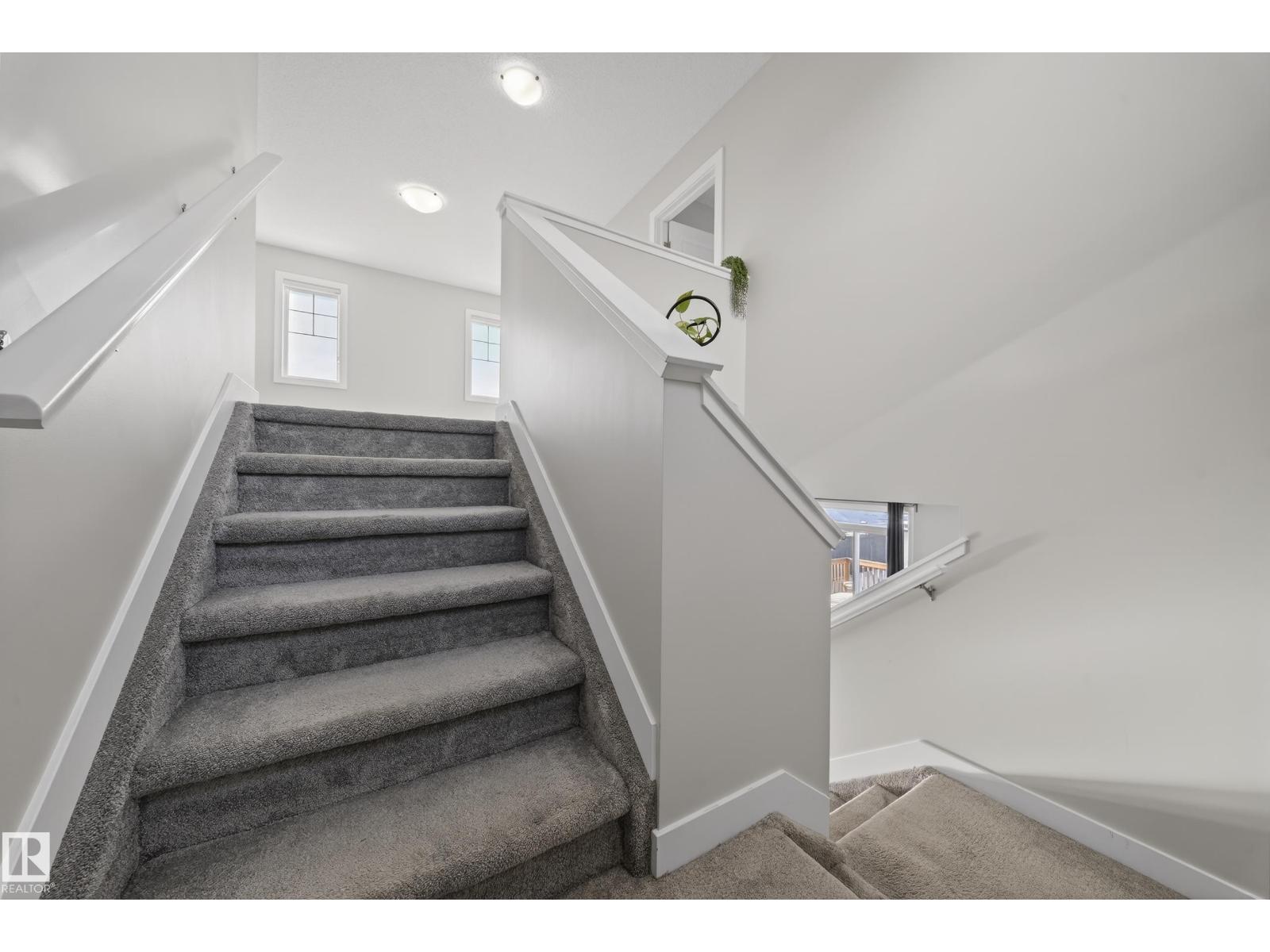 1234 Daniels Cr Sw, Edmonton, Alberta  T6W 3V6 - Photo 24 - E4487724