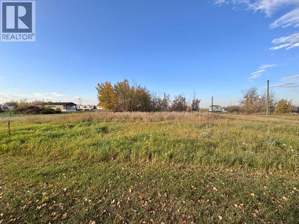 23 3rd Street, Gadsby, Alberta  T0C 1K0 - Photo 4 - A2308993