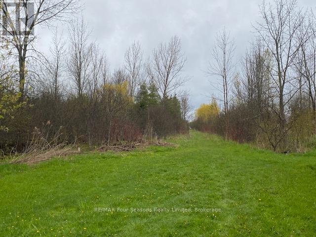 1 Mary Street, Meaford, Ontario  N4L 1J3 - Photo 1 - X13129612
