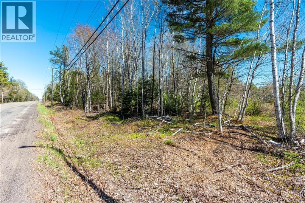 14-2 Niagara Road, Lower Coverdale, New Brunswick  E1J 1H8 - Photo 14 - NB131209