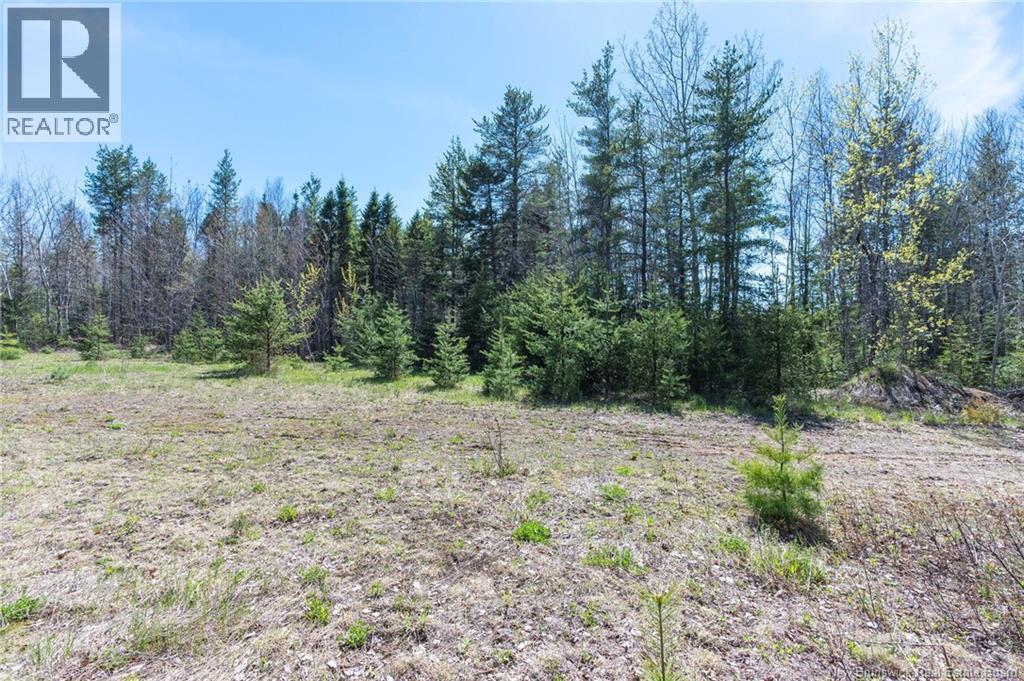 14-2 Niagara Road, Lower Coverdale, New Brunswick  E1J 1H8 - Photo 3 - NB131209