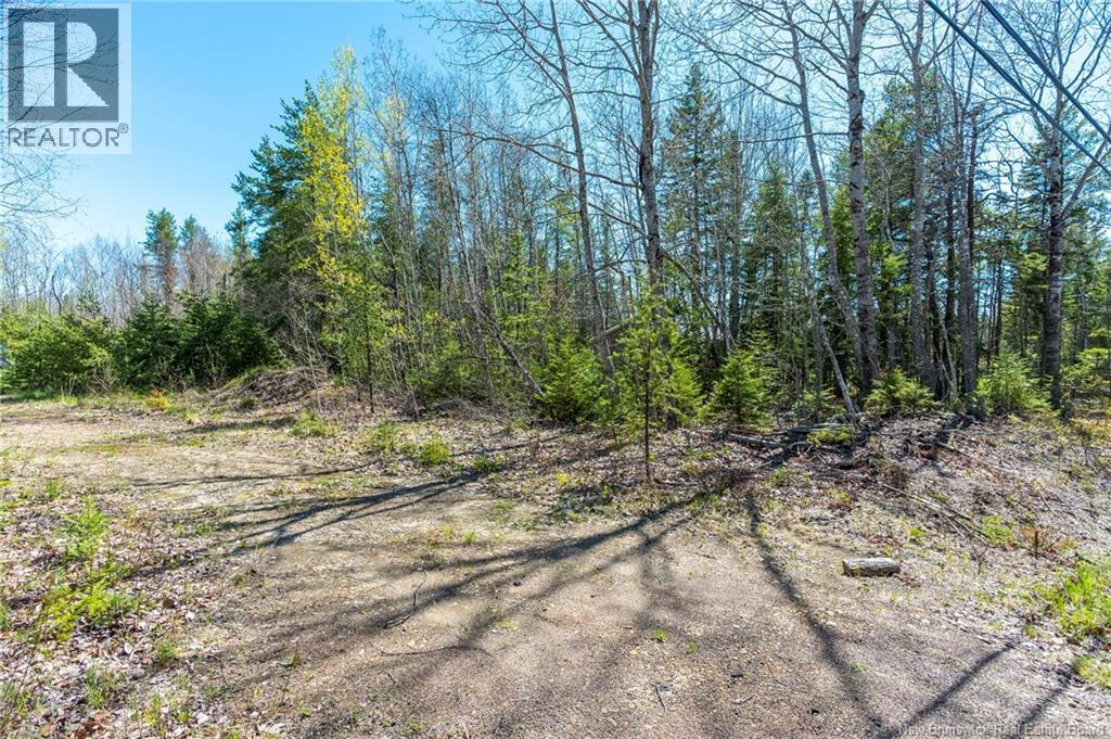 14-2 Niagara Road, Lower Coverdale, New Brunswick  E1J 1H8 - Photo 19 - NB131209