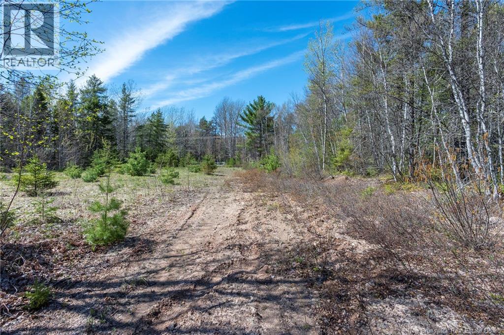 14-2 Niagara Road, Lower Coverdale, New Brunswick  E1J 1H8 - Photo 1 - NB131209