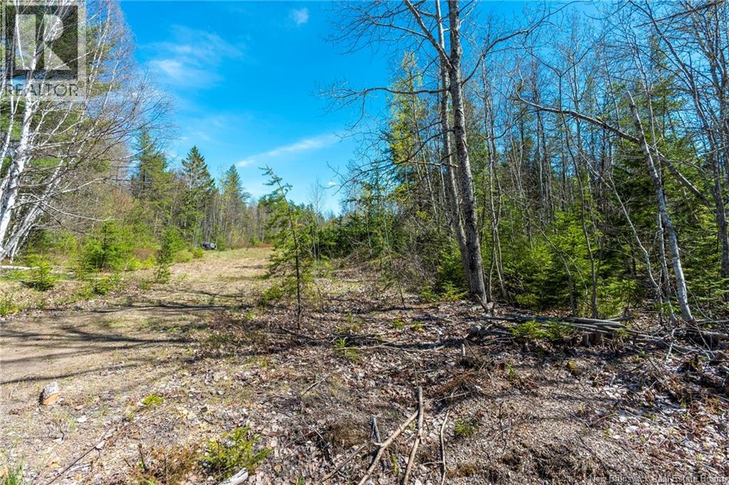 14-2 Niagara Road, Lower Coverdale, New Brunswick  E1J 1H8 - Photo 16 - NB131209