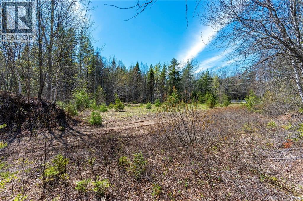 14-2 Niagara Road, Lower Coverdale, New Brunswick  E1J 1H8 - Photo 10 - NB131209