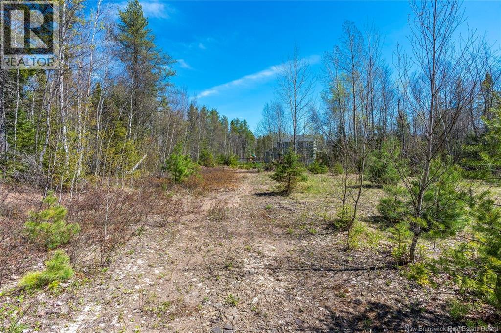 14-2 Niagara Road, Lower Coverdale, New Brunswick  E1J 1H8 - Photo 13 - NB131209