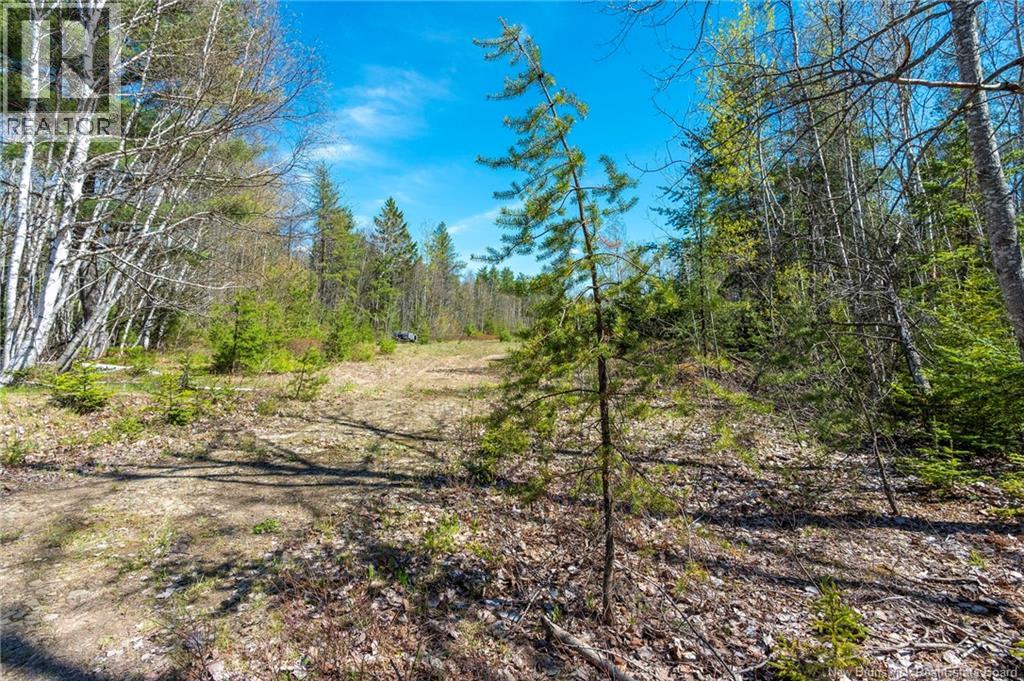 14-2 Niagara Road, Lower Coverdale, New Brunswick  E1J 1H8 - Photo 17 - NB131209
