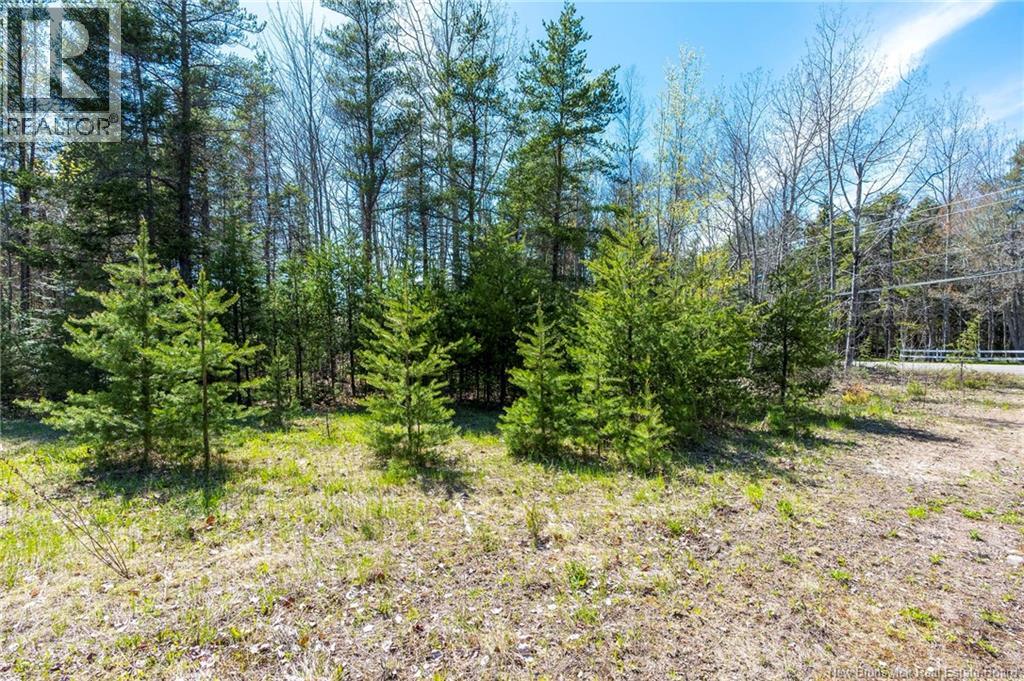 14-2 Niagara Road, Lower Coverdale, New Brunswick  E1J 1H8 - Photo 6 - NB131209