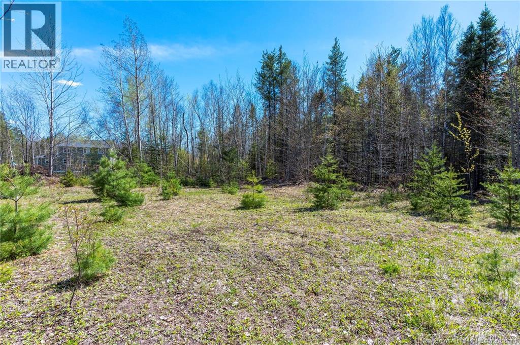 14-2 Niagara Road, Lower Coverdale, New Brunswick  E1J 1H8 - Photo 7 - NB131209
