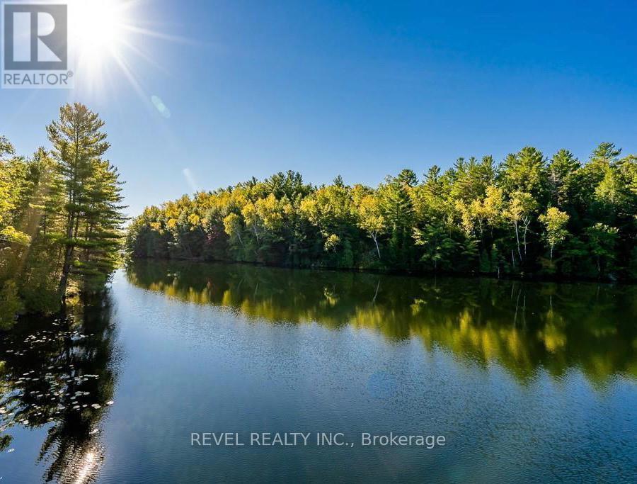 180 Lake Road, Georgian Bay, Ontario  L0K 1S0 - Photo 2 - X13127640