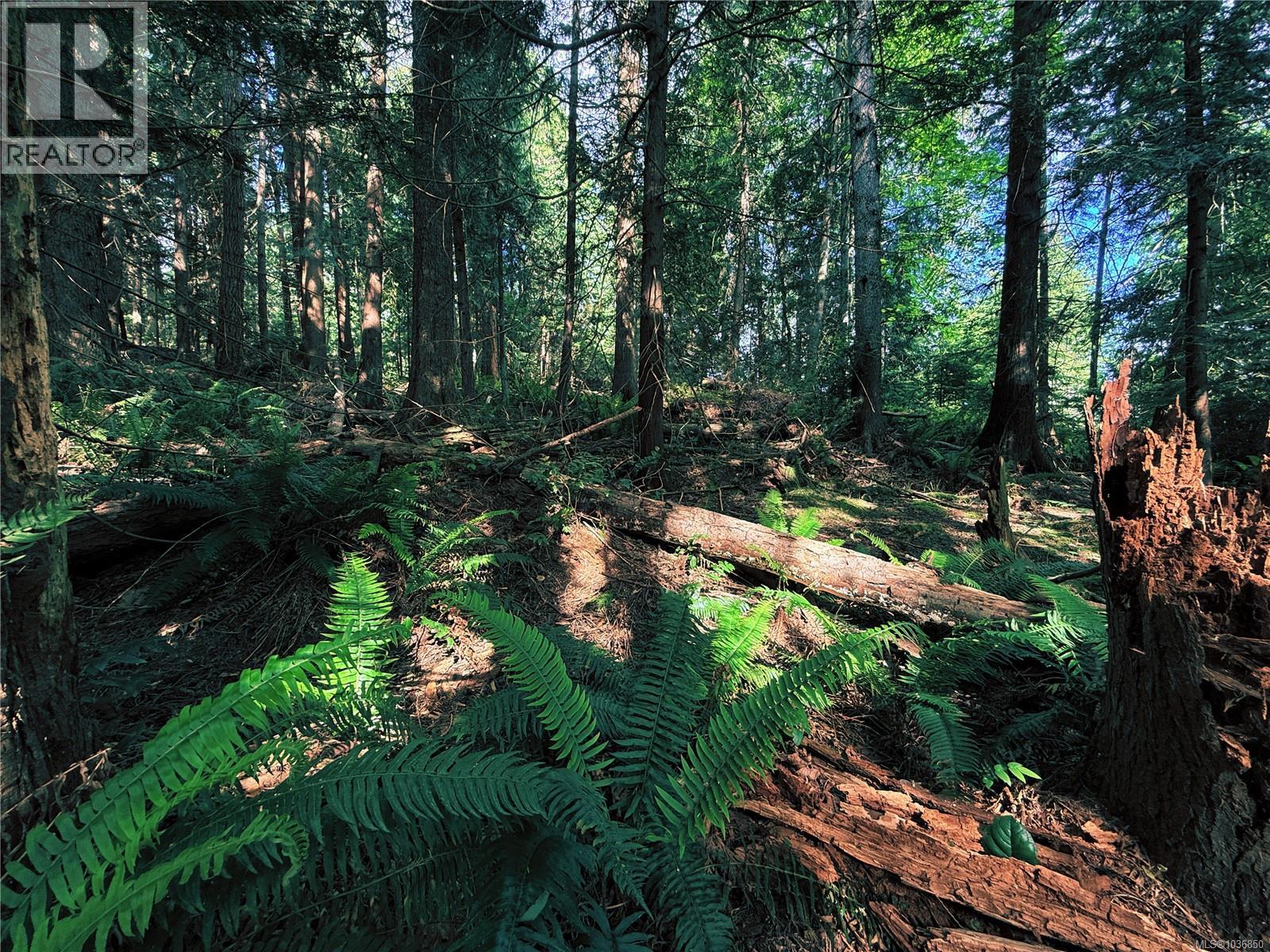 Lot 6 Spruce Ave, Gabriola Island, British Columbia  V0R 1X1 - Photo 1 - 1036850