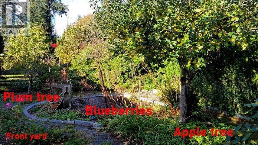 20530 Westfield Avenue, Maple Ridge, British Columbia  V2X 1L2 - Photo 6 - R3123864
