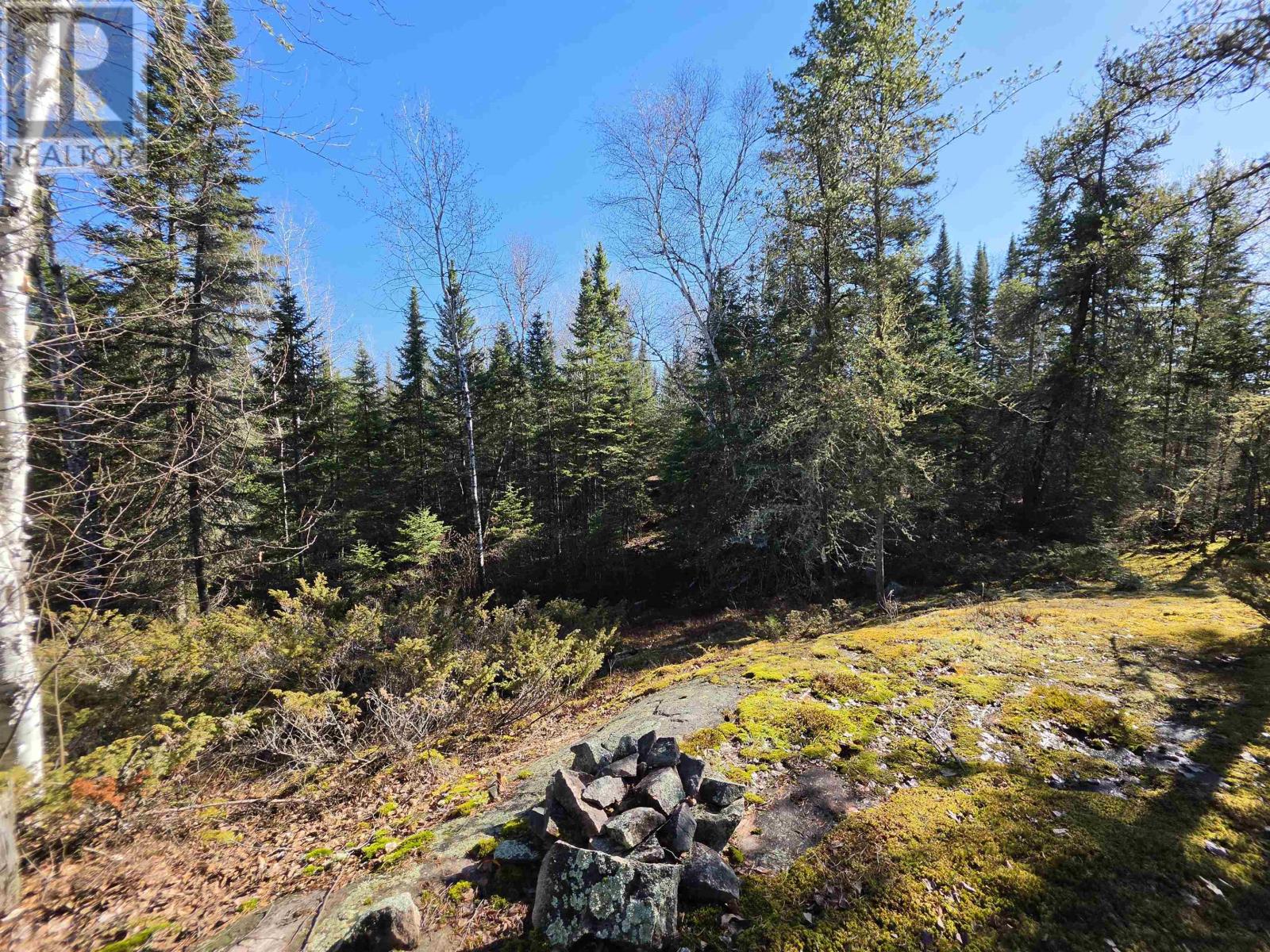 60 Nelson Road, Minaki, Ontario  P0X 1J0 - Photo 23 - TB2601036