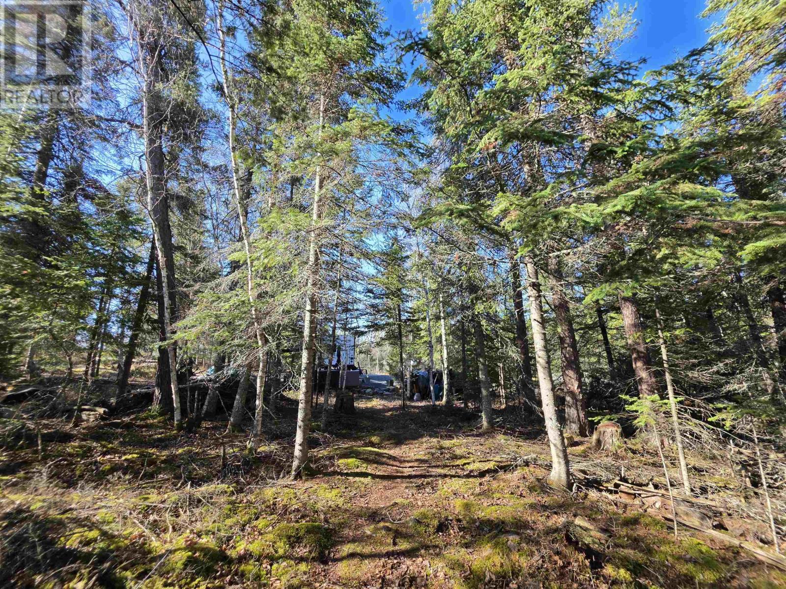 60 Nelson Road, Minaki, Ontario  P0X 1J0 - Photo 20 - TB2601036
