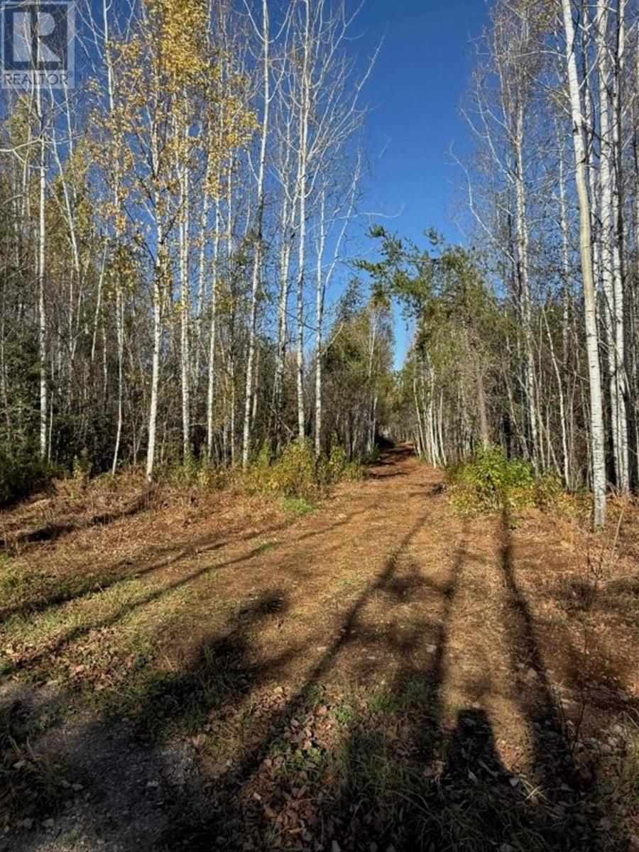 330 350 Delints Road, Nolalu, Ontario  P0T 2K0 - Photo 5 - TB2601042