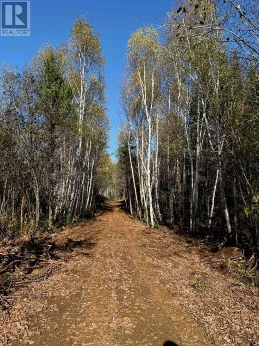 330 350 Delints Road, Nolalu, Ontario  P0T 2K0 - Photo 8 - TB2601042