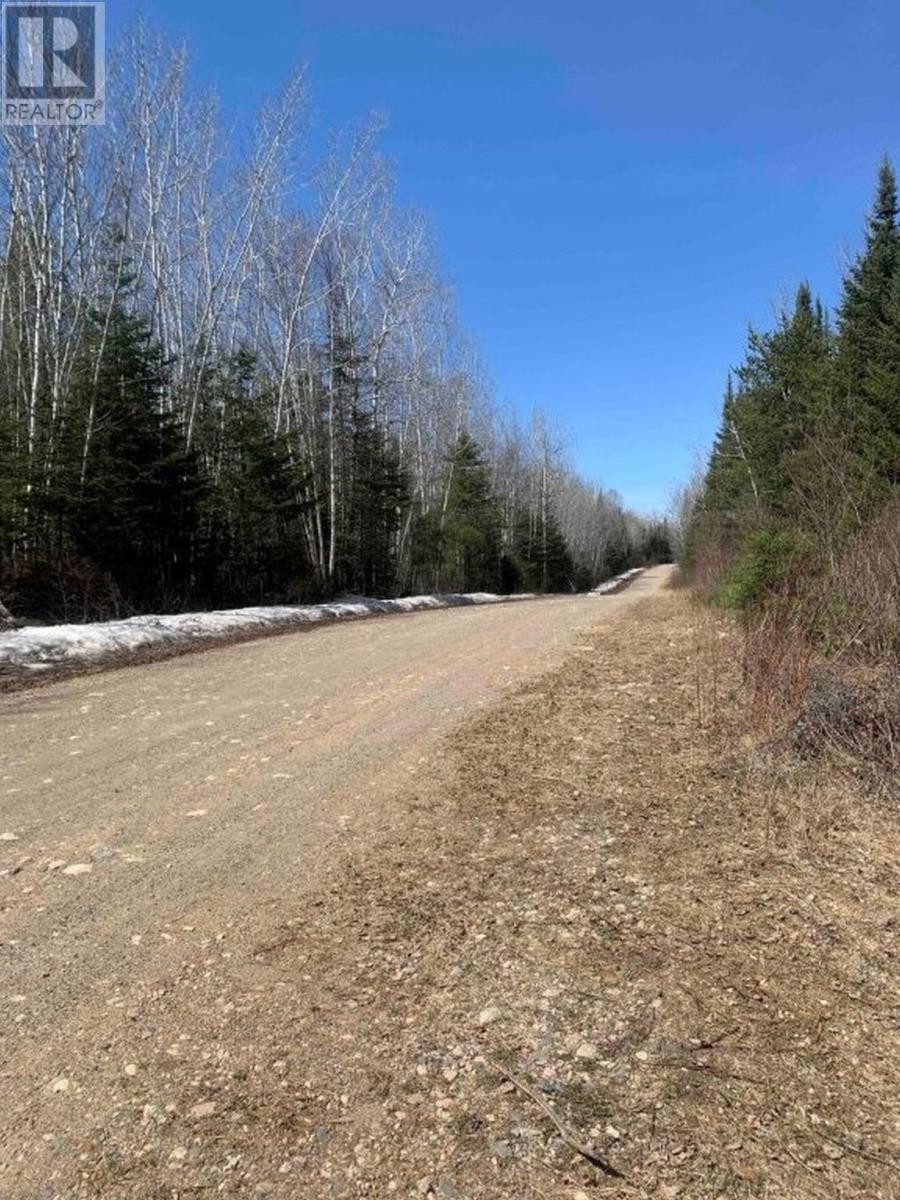 330 350 Delints Road, Nolalu, Ontario  P0T 2K0 - Photo 14 - TB2601042
