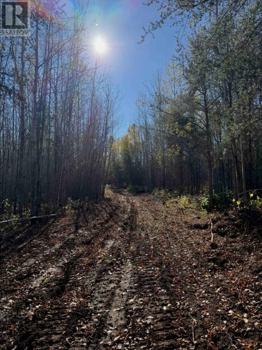 330 350 Delints Road, Nolalu, Ontario  P0T 2K0 - Photo 13 - TB2601042