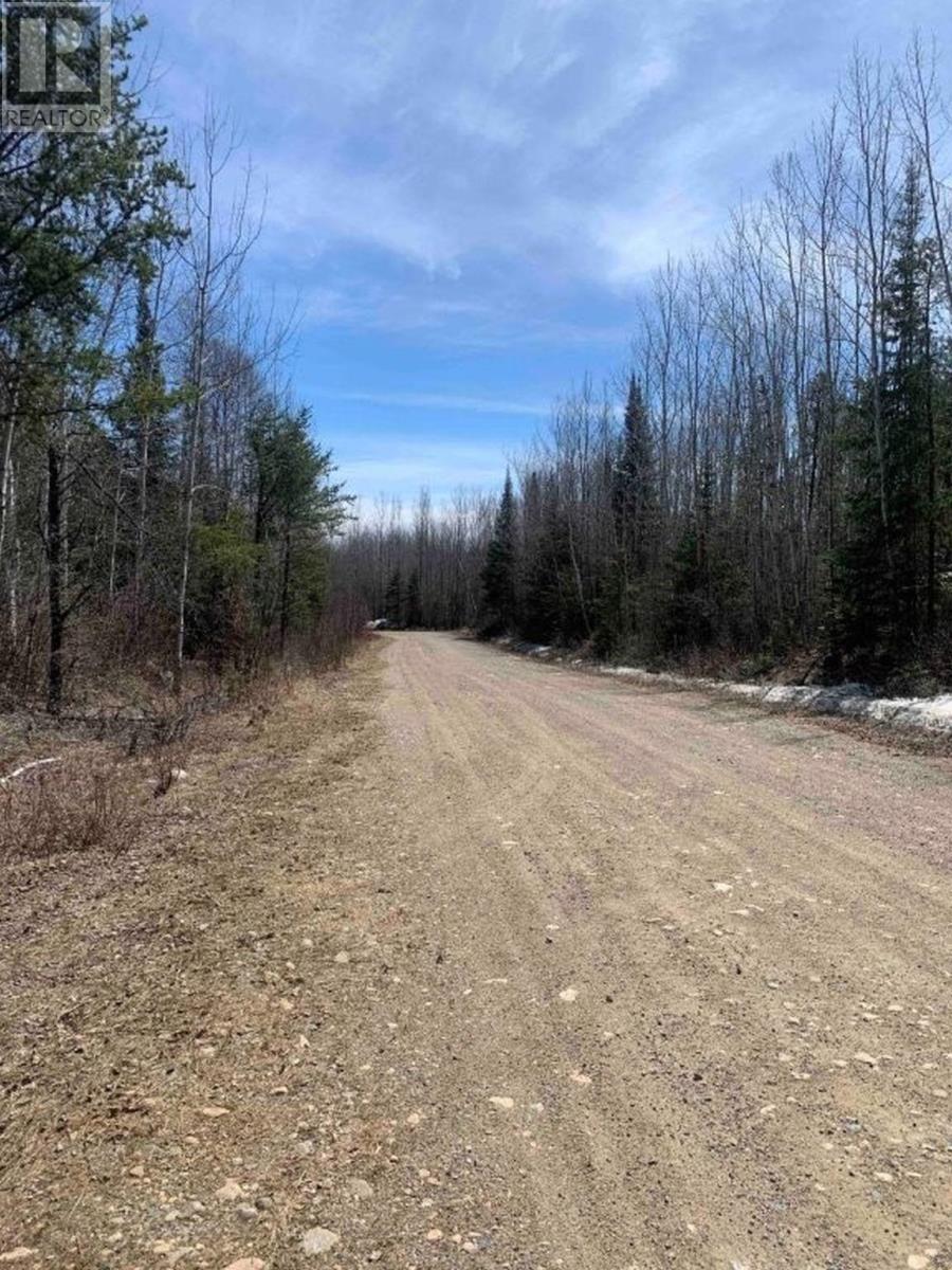 330 350 Delints Road, Nolalu, Ontario  P0T 2K0 - Photo 15 - TB2601042