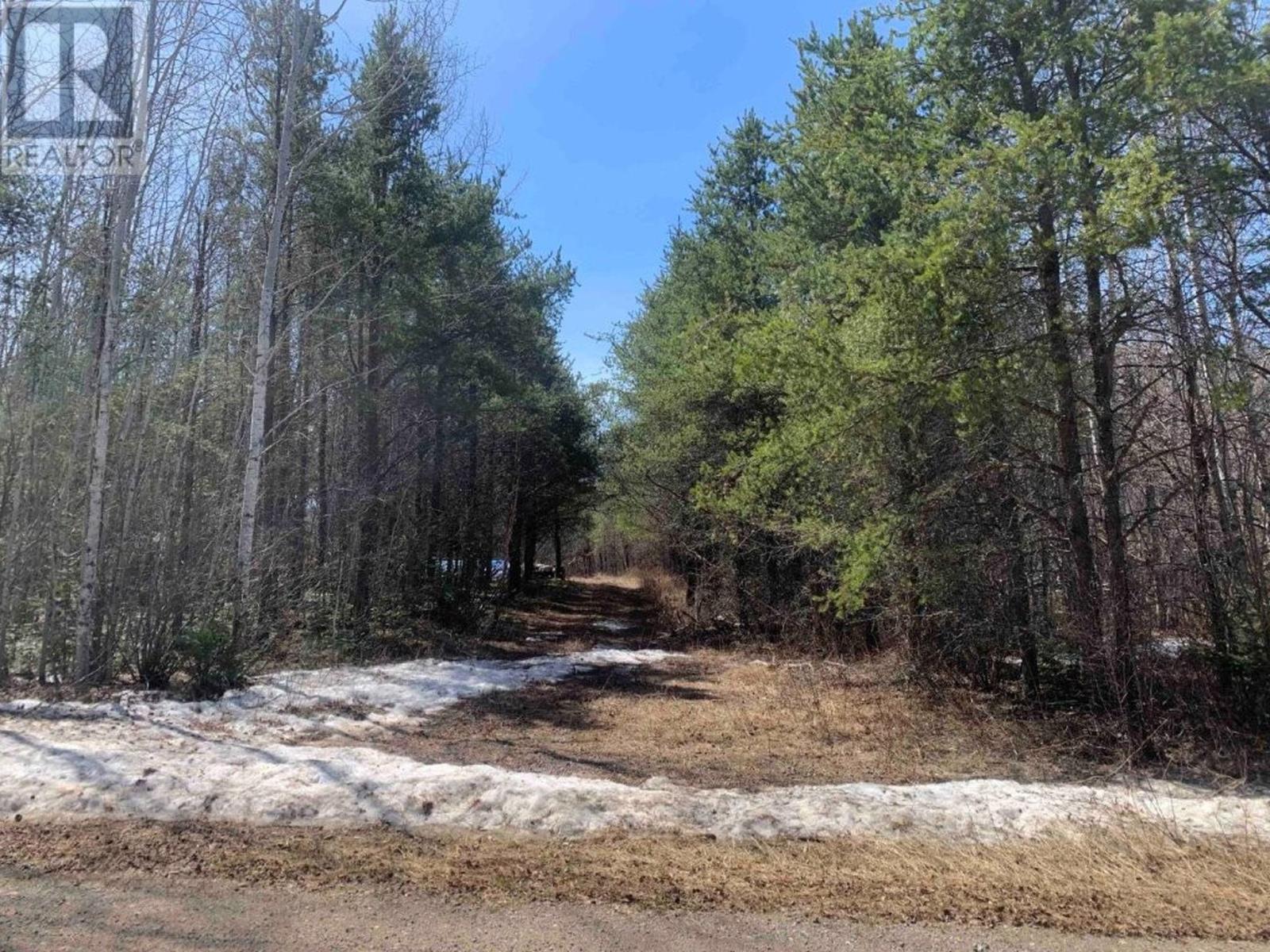 330 350 Delints Road, Nolalu, Ontario  P0T 2K0 - Photo 4 - TB2601042