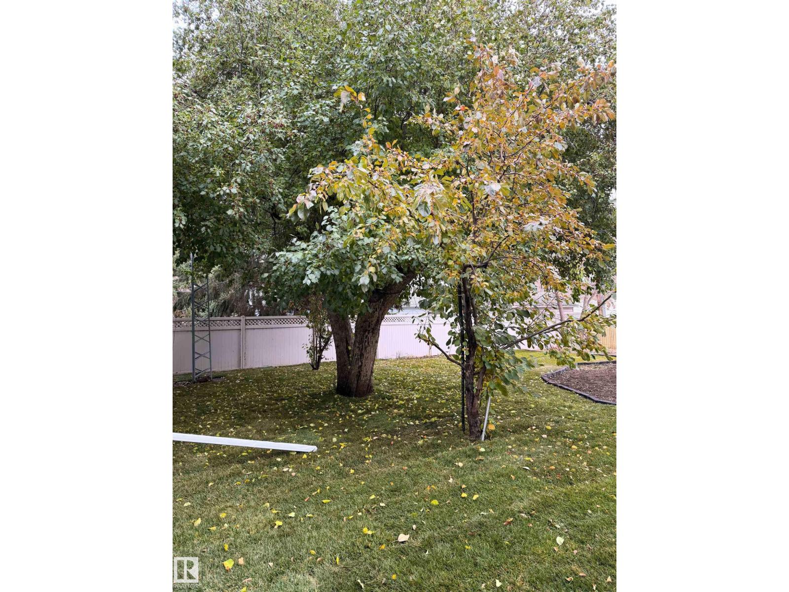 5209 45 Av, Vegreville, Alberta  T9C 1A2 - Photo 70 - E4487277