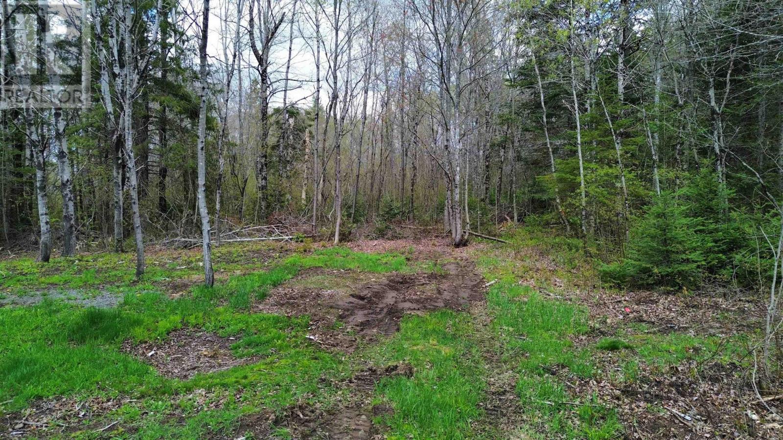 58 Mic Mac Road, Springhill Junction, Nova Scotia  B0M 1G0 - Photo 14 - 202610930