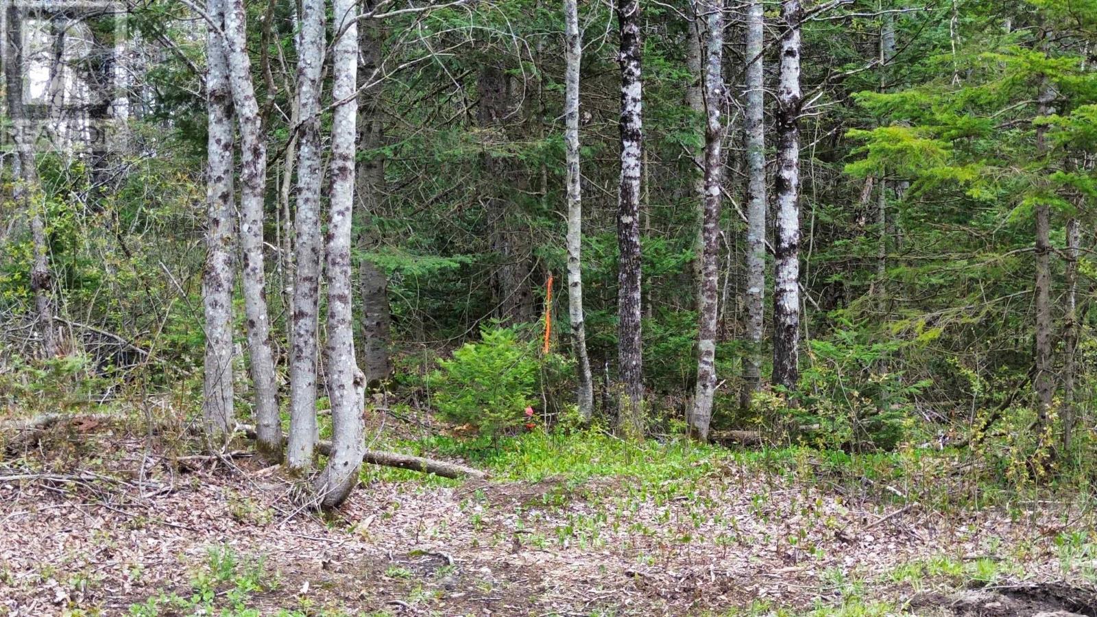 58 Mic Mac Road, Springhill Junction, Nova Scotia  B0M 1G0 - Photo 18 - 202610930