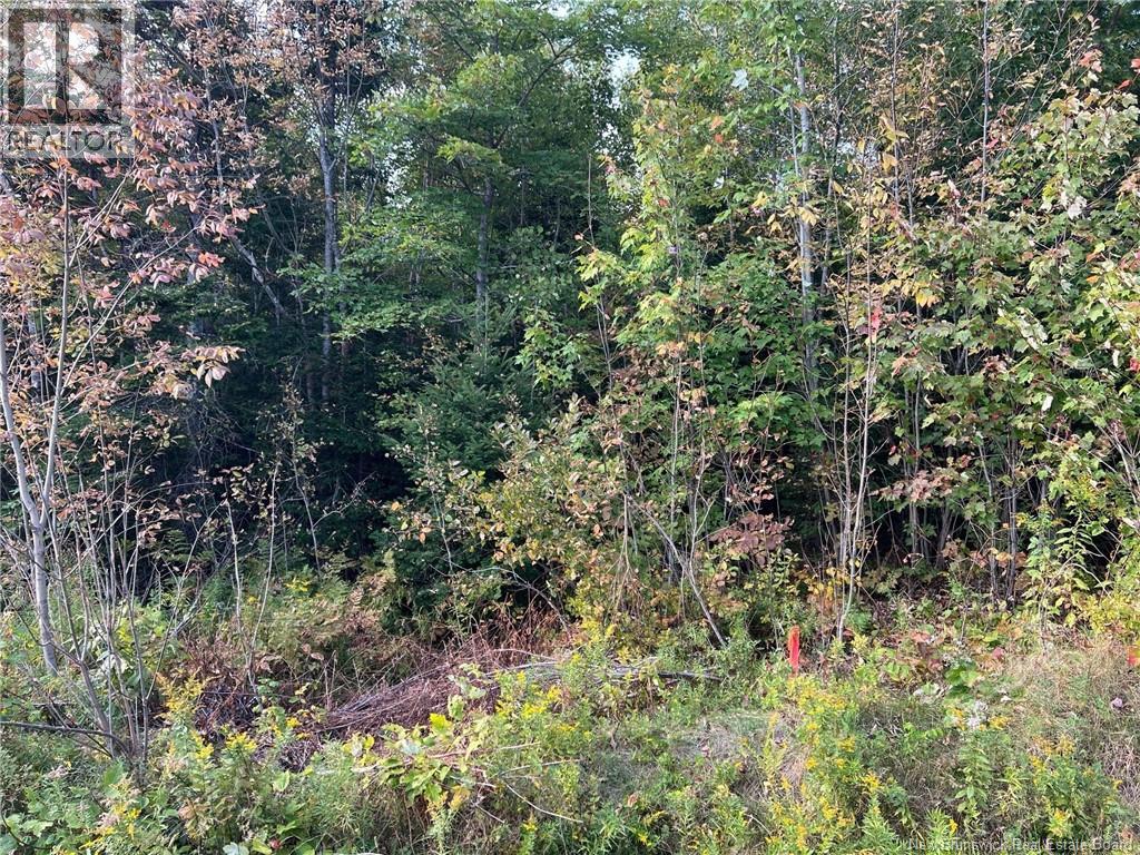 Lot 24-2 Route 3, Harvey, New Brunswick  E6K 1T3 - Photo 8 - NB139542