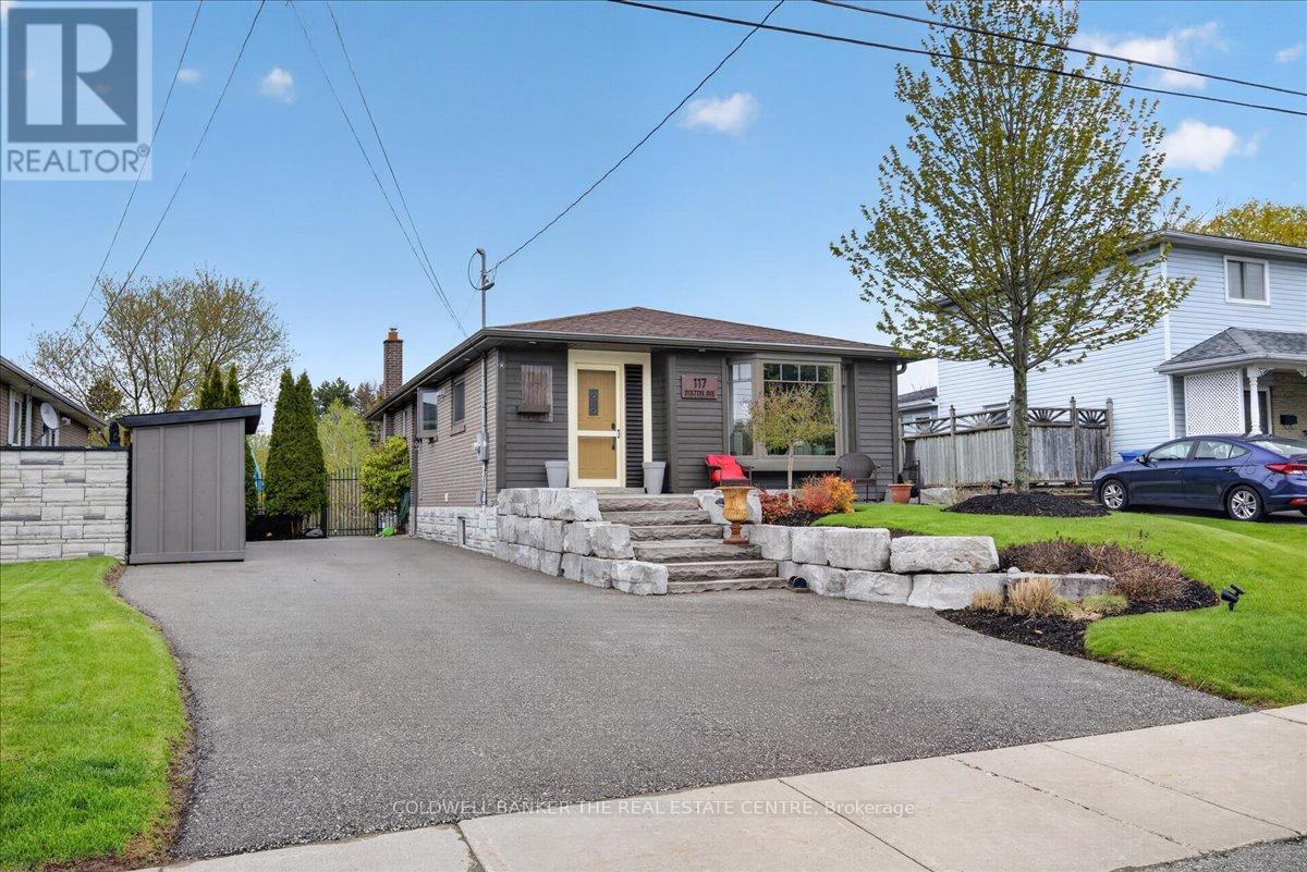 117 Bolton Avenue, Newmarket, Ontario  L3Y 2X3 - Photo 1 - N13129876