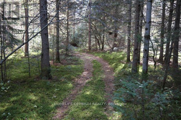 927 Con 4 & 5 Rd W, Huntsville, Ontario  P0B 1L0 - Photo 22 - X13129956