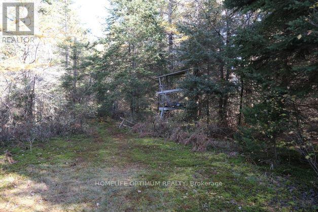 927 Con 4 & 5 Rd W, Huntsville, Ontario  P0B 1L0 - Photo 23 - X13129956