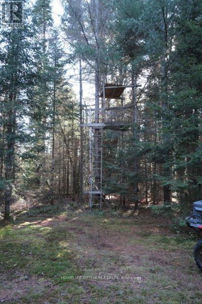 927 Con 4 & 5 Rd W, Huntsville, Ontario  P0B 1L0 - Photo 26 - X13129956