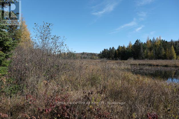 927 Con 4 & 5 Rd W, Huntsville, Ontario  P0B 1L0 - Photo 28 - X13129956