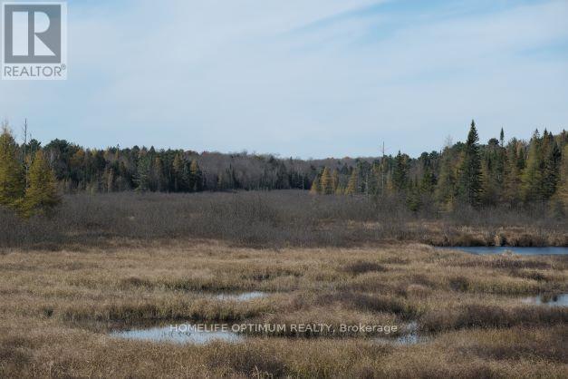 927 Con 4 & 5 Rd W, Huntsville, Ontario  P0B 1L0 - Photo 32 - X13129956