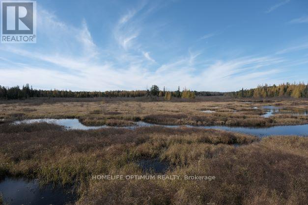 927 Con 4 & 5 Rd W, Huntsville, Ontario  P0B 1L0 - Photo 34 - X13129956