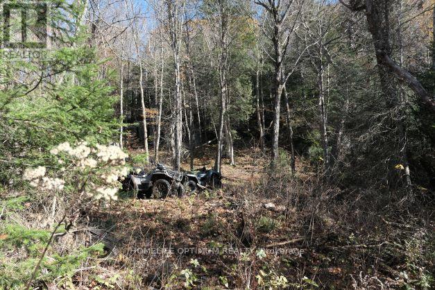 927 Con 4 & 5 Rd W, Huntsville, Ontario  P0B 1L0 - Photo 35 - X13129956