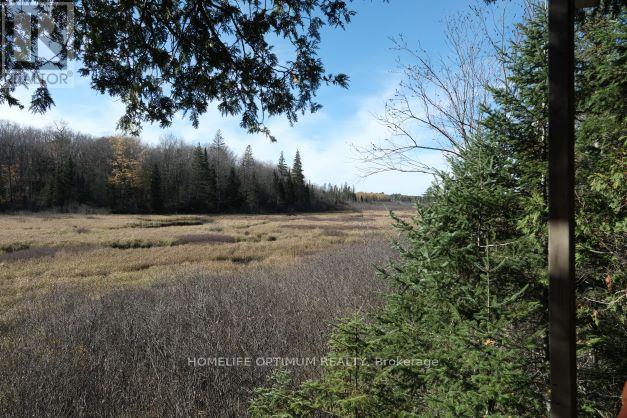 927 Con 4 & 5 Rd W, Huntsville, Ontario  P0B 1L0 - Photo 36 - X13129956